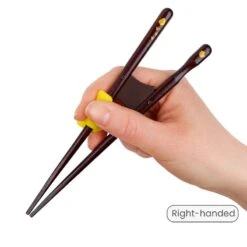 Kids Chopsticks -Shibui Store 58 min