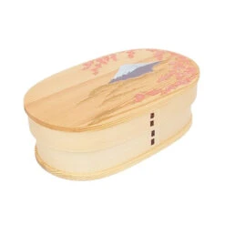 Fuji Bento Box