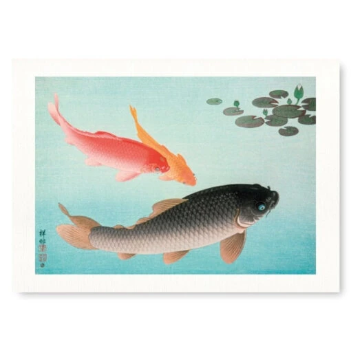 Koi Fish Print