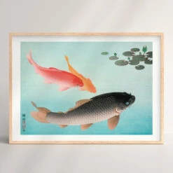 Koi Fish Print -Shibui Store estampe japonaise carpes a3 995