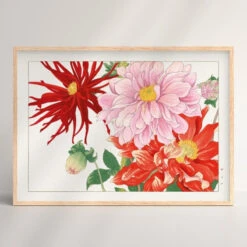 Japanese Woodblock Print - Dahlia Flower 5 Japanese Woodblock Print - Dahlia Flower -Shibui Store estampe japonaise fleur dahlia a3 856