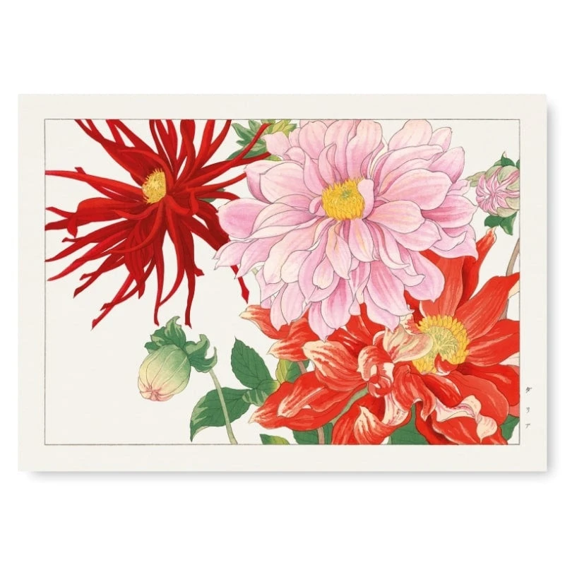Japanese Woodblock Print - Dahlia Flower 3 Japanese Woodblock Print - Dahlia Flower