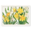 Japanese Woodblock Print - Daffodil Flower -Shibui Store estampe japonaise fleur jonquille a3 855