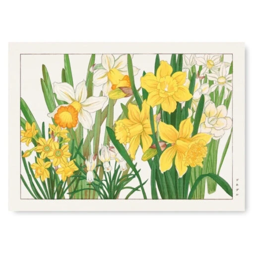 Japanese Woodblock Print - Daffodil Flower