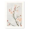 Japanese Print - Plum Blossom 2 Japanese Print - Plum Blossom -Shibui Store estampe japonaise fleurs de prunier a3 533