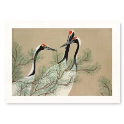 Japanese Woodblock Print - Kamisaka Cranes