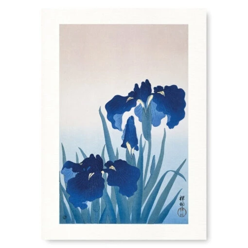 Japanese Woodblock Print - Blue Iris