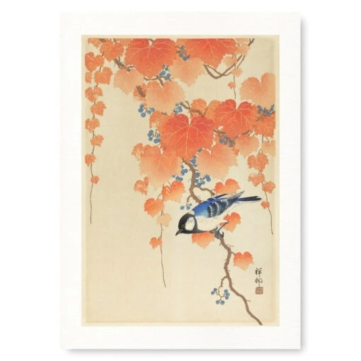 Japanese Print - Blue Tit