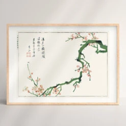 Japanese Woodblock Print - Ume No Eda 5 Japanese Woodblock Print - Ume No Eda -Shibui Store estampe japonaise ume no eda a3 372