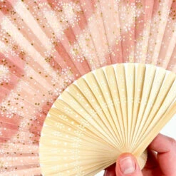 Japanese Fan - Hanami -Shibui Store eventail japonais hanami 666