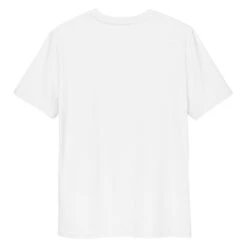 Japanese Tee Shirt - Dragon & Sun -Shibui Store t shirt japonais ghibli world 944 91d58953 675a 4df8 a9e6 2be8fae72b9d