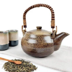 Japanese Teapot With Infuser -Shibui Store theiere japonaise avec infuseur 665