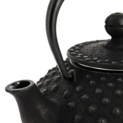 Iwachu Cast Iron Teapot - Black - 12 Fl Oz -Shibui Store theiere japonaise fonte iwachu noire 350 ml 531