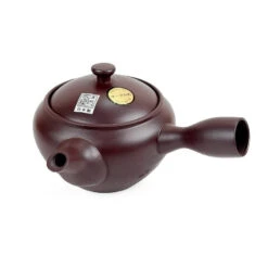 Kyusu Teapot 8 Kyusu Teapot -Shibui Store theiere japonaise kyusu 484