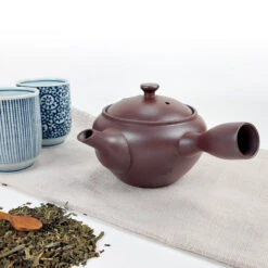 Kyusu Teapot 9 Kyusu Teapot -Shibui Store theiere japonaise kyusu 891