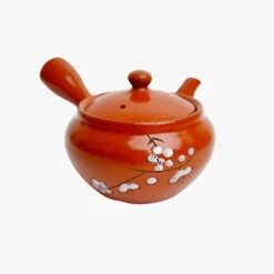 Japanese Ceramic Teapot - Red Kyusu 9 Japanese Ceramic Teapot - Red Kyusu -Shibui Store theiere japonaise kyusu rouge 303
